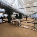 나눔염소농장 이미지