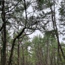 하마주유소 이미지