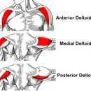 Body Master Gym 이미지