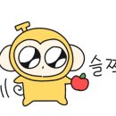 스마트미용재료