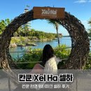 레드존+ I | 칸쿤 셀하(Xelha) 완벽 정리｜가격·예약·준비물·후기 총정리