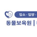 동물보육원 천안지부 | 안녕하세요💛아이들을 가족처럼 돌보고 있는 동물보육원 대전지부입니다.