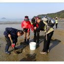 삽시도둘레길 이미지