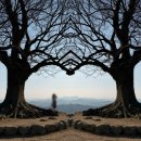 서동카센타 | 2026.03 부여 당일치기 | 삼정식당, 궁남지, 카페온휴, 성흥산 사랑나무 포토존