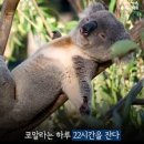 [합주휴식]12월 18일(수) 한주 쉽니다. 그 다음주는...?? 이미지