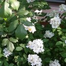 빵을만드는 사람들 이미지