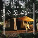 추동캠프 | 서울 근교 소규모 캠핑장 잣나무 숲이 멋진 추동 캠프 경기도 포천 캠핑장 추천