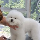 까꿍미용실