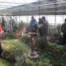 성지농원 이미지