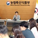 국제전자도매센타 이미지