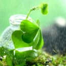 그대 안에그대 이미지