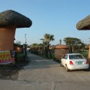 온평리-2 이미지