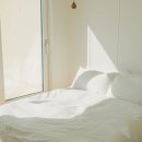 푸욱스테이 이미지