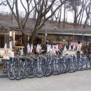 등나무민박 이미지