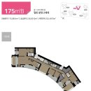 더스카이 이미지