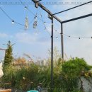 카페마루 이미지