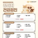 원주더봄동물의료센터 이미지