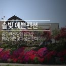 솔빛예쁜펜션 이미지