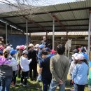 진부초등학교 이미지