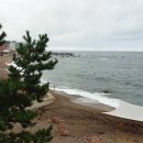 영덕바닷가솔밭펜션 이미지