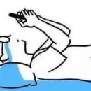 2504 이미지