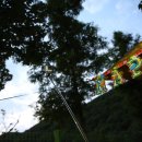 대운산 자연휴양림 캠핑장 이미지