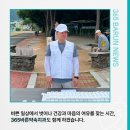 진해중앙초등학교 이미지