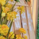 압구정-249 네이버블로그
