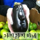 이오스 머니투데이