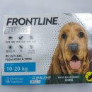 울산현대약국 이미지