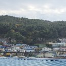 (주)안창마을 네이버블로그