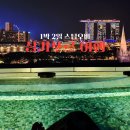 예산1리(군청입구택시승강장)야외운동기구 | 2023년 10월 | 싱가포르 1일 | 싱가포르 전자 입국 카드 작성 &amp; 풀만 싱가포르 힐 스트리트에서 호캉스