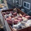 일성자원 이미지