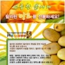 (주)망고투어