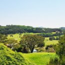 동부산 CC 이미지