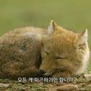 오뎅정종 네이버블로그