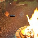 그린나무영월 이미지