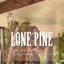 파랑새장 | 호주 브리즈번 여행 2 | 론 파인 동물원 코알라 서식지 LONE PINE Koala Sanctuary