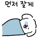 거울보는 강아지 이미지