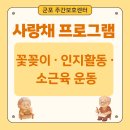 꽃꽂이(주간) | [군포주간보호센터] 꽃꽂이·인지활동·소근육 운동 프로그램 활동 모습