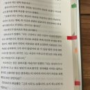 라우루스 이미지