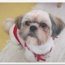 (주)천진 이미지
