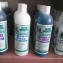 핫독애견 이미지