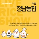 쇼] 입에 붙지 않는 쫀득한 우리떡, 정남농협화성웰빙떡클러스터사업단 &#39;디딜향&#39; 으로 만든 떡 파스타
