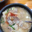 합천일류돼지국밥 - 창원시 성산구 | 합천일류돼지국밥