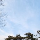 신석주유소 이미지