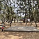 소나무공원 화장실 이미지