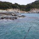 철마치과의원 | 손 맛과 눈 맛? 행복한 낚시_거제_해금강