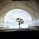 동일타워 앞 | [진도여행] 진도쏠비치 &#39;패밀리 스탠다드&#39; 객실 후기, D타워 추천 이유