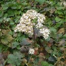 하남마을회관 이미지